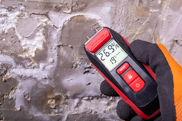 Best Health and Safety Mold Remediation in Browns Point, WA