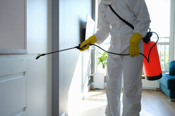 Best Preventive Mold Services in Browns Point, WA