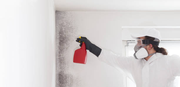 Best Industrial Mold Remediation in Browns Point, WA
